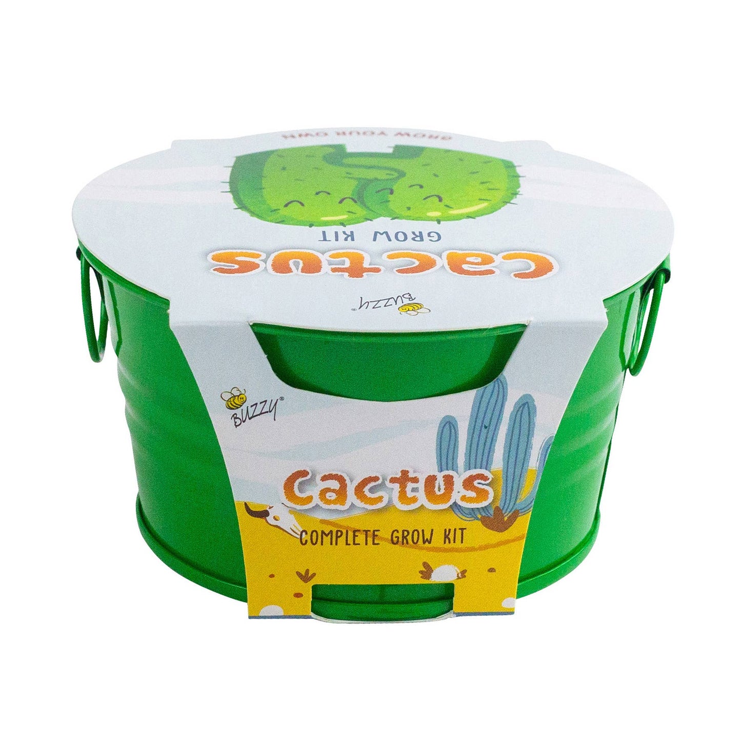 Kids Mini Painted Basin Cactus Grow Kit – Indoor Gift