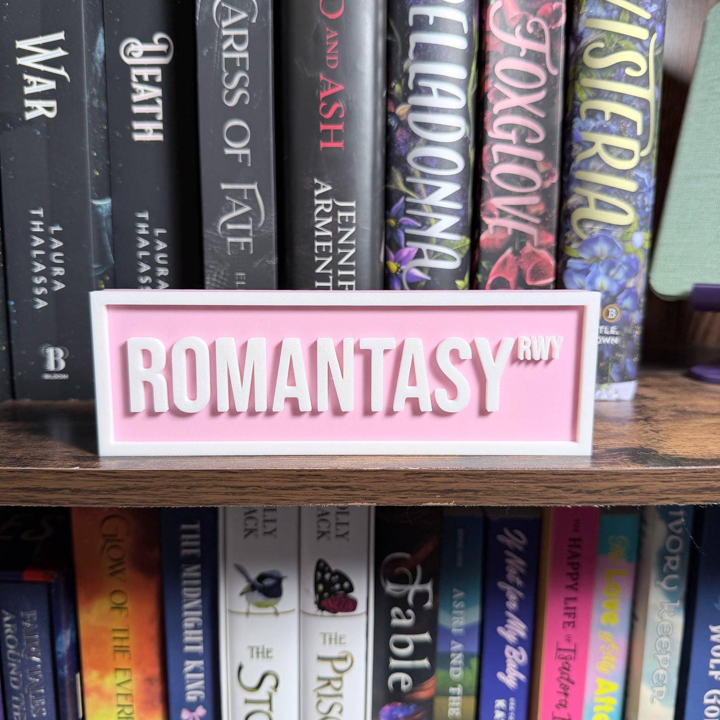 Romantasy Street Sign | Bookshelf Decor