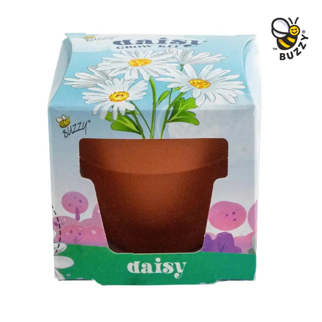 Buzzy Seeds Kid's Mini Terracotta Pots - Daisy Grow Kit