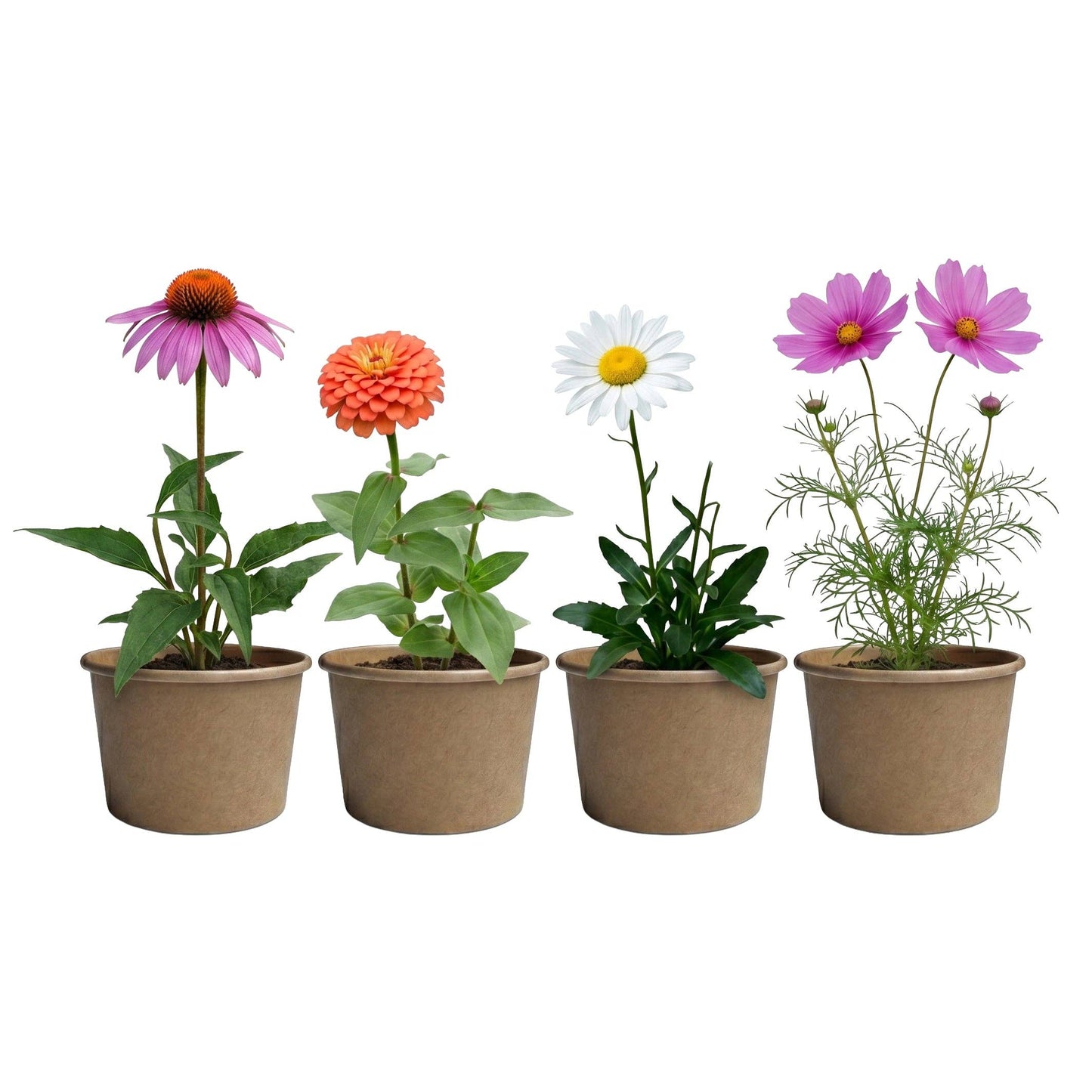 Save The Bees Kits | Paper Cups | Pollinator Seeds 12 Pack