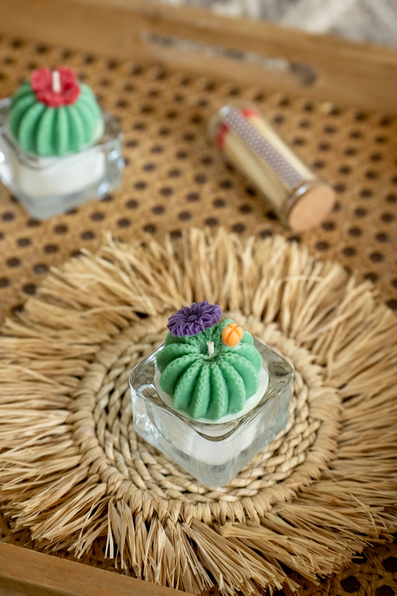 Barrel Cactus Candle: Green w/ purple