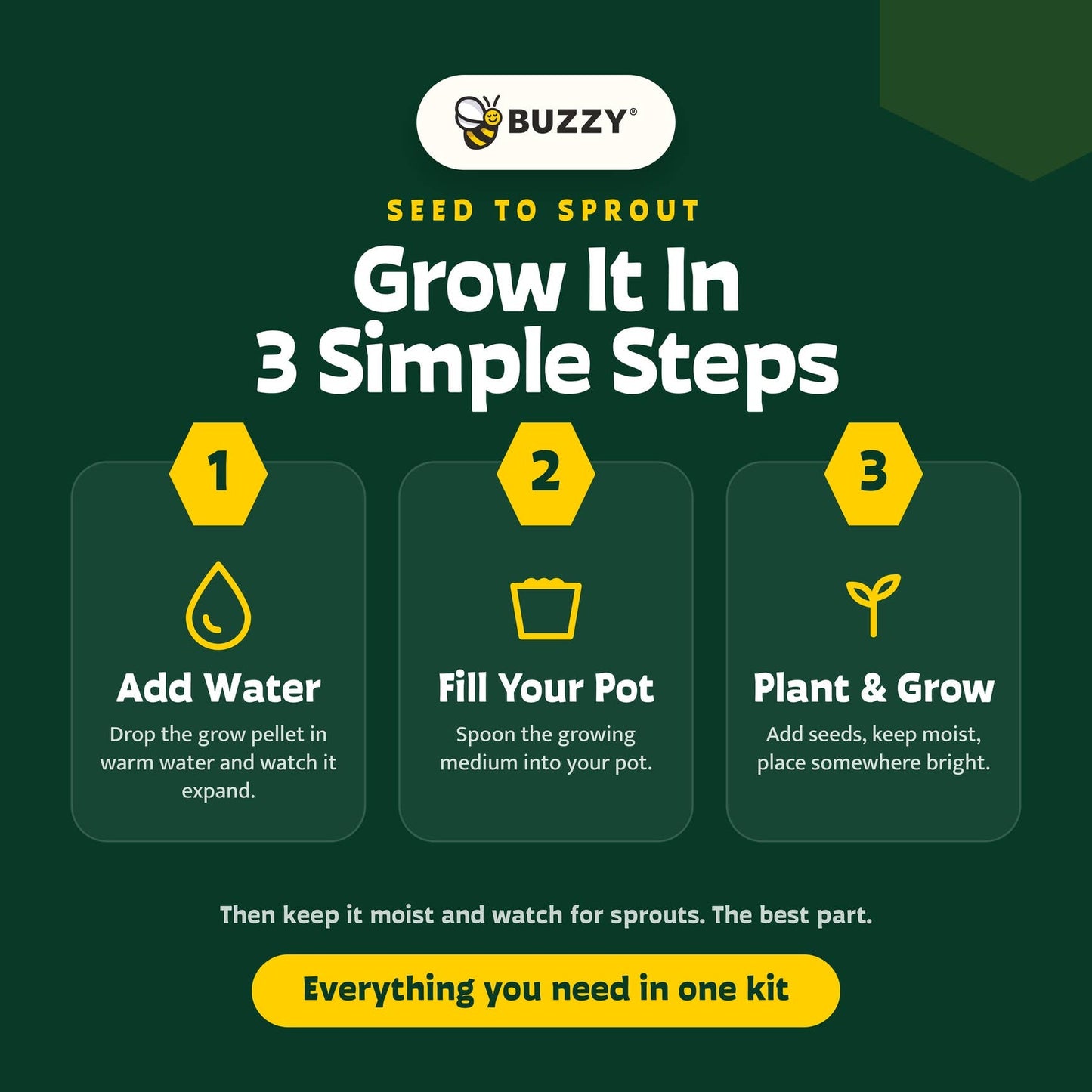 Save The Bees Kits | Paper Cups | Pollinator Seeds 12 Pack