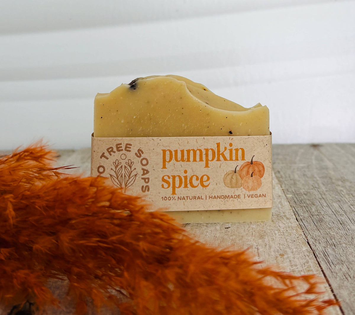 Pumpkin Spice - Natural Handmade Vegan Bar Soap